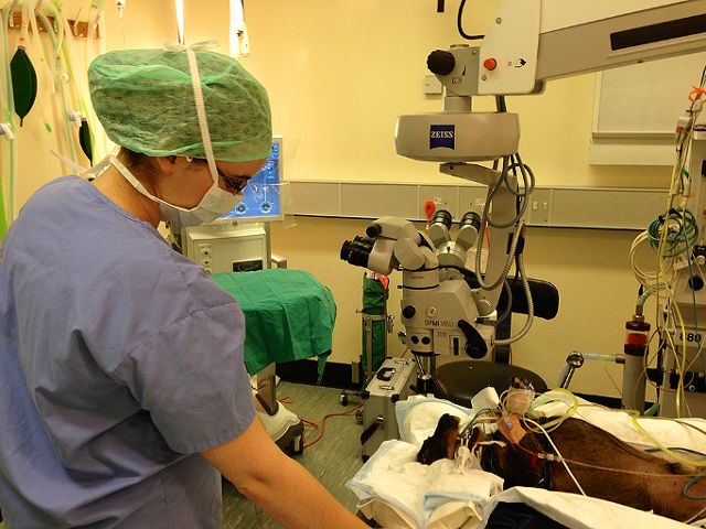 klinikajszulcarvc5.jpg